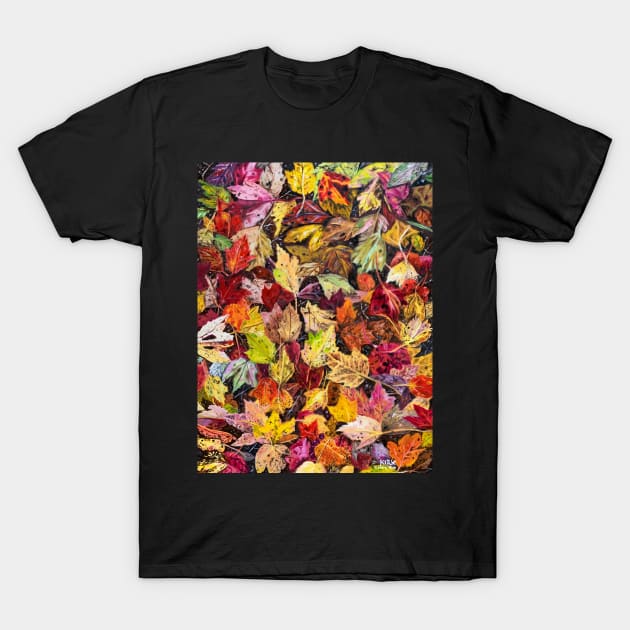 'FALLEN AUTUMN' T-Shirt by jerrykirk